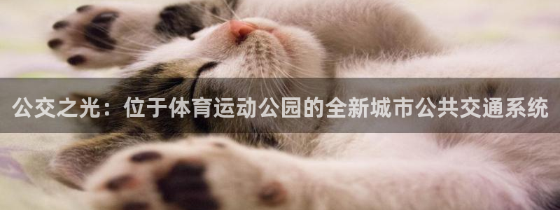 皇冠277体育：公交之光：位于体育运动公园的全新城市公共交通系统