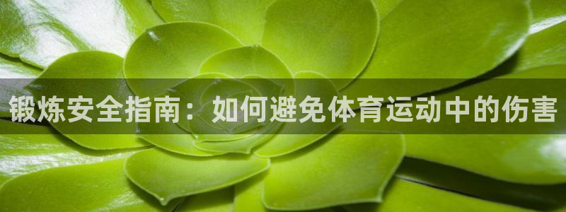 77体育官网